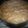 El cooksnap de Caro Linita cuando hizo Lemon pie con leche condensada.