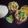 Lisha Ghosh's cooksnap of when they made ভেলপুরি (bhel puri recipe in Bengali).