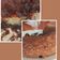 Cooksnap de Carla Canhoto quando cozinhou Bolo de iogurte fofinho na airfryer.