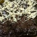 Cooksnap dari atika untuk resep Brownies Kukus