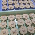 Cooksnap dari Yayuk Elyati untuk resep Tahu Sakura
