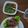 Cooksnap Siti Sofiah semasa beliau membuat Daging bakar dan air asam.
