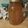 GigglesAV's cooksnap of when they made Apple Pie Moonshine.
