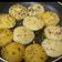 Sonal Modha's cooksnap of when they made રવા ઈડલી (Rava Idli Recipe In Gujarati).