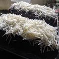 Cooksnap dari Novita Ida Agustina untuk resep Brownies Pisang Kukus 🍌 (Tanpa Mixer)