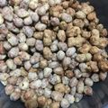 Cooksnap dari octora kemala putri untuk resep Kacang telur gurih