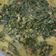 Cooksnap dari susy silitonga untuk resep Gulai Daun Singkong / Sayur Daun Singkong