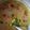 Sadaf Shoaib Vohra's cooksnap of when they made Matka daal chawal with chattni.