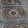 Cooksnap dari Indah RatnaSuminar Santoso untuk resep Puding Roti Zebra♡