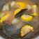 Cooksnap dari Sheila untuk resep Sayur asem jakarta