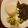 Coretta Kai's cooksnap of when they made Ugali and Kale.