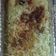 Cooksnap dari Dwi Utami untuk resep Klappertart kukus topping keju super moist