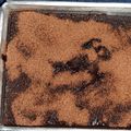 Cooksnap dari tata yosi untuk resep Puding brownies coklat