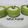 Cooksnap dari Esih Kurniasih untuk resep Kue cantik manis pandan,nona cantik,talam pandan