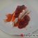 Cooksnap από marriapal στη συνταγή Cheese cake με καραμελωμένες φράουλες Παρλιάρου