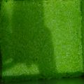 Cooksnap dari Ranny Anggrainy untuk resep Wajik Ketan Pandan