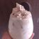 Cooksnap dari RatihAng untuk resep Ice dalgona milo