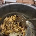 صورة من Eman Khamis، شاركها بعد تجربة وصفة شوربة كريمة الفطر