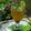 Sanchita Mittal's cooksnap of when they made Virgin Mojito.