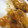 El cooksnap de Ada Culleres cuando hizo Confit de Pato y Mandarina con Bechamel de Calabaza.