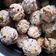 Cooksnap dari Cissa Penelope untuk resep Baso lohoa