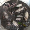 Cooksnap dari V M untuk resep Cumi Item