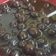Cooksnap dari Fatima untuk resep 608. Boba nutrijell
