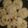 Elisabeth 's cooksnap of when they made Easy and fast sugar cookies!.