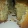 El cooksnap de Eliana Sambrana cuando hizo Torta de peras.