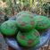 Cooksnap dari Anggi Elfani untuk resep Bolu Pandan Panggang Mini