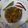 Unlock foodie's cooksnap of when they made Saaga ghanta.