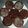 El cooksnap de Marco Bastardo cuando hizo Cupcakes de chocolate.