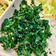 Cooksnap của Dibee khi họ làm theo món Kale Chips (Snack Cải Xoăn Nướng Giòn)