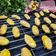Cooksnap dari Mrs Armanto untuk resep Oat Crackers (Kastangel Oat)