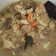 Cooksnap dari Arismiyati Sukirno untuk resep Resep Tongseng Ayam Pedas