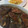 El cooksnap de Irene-Guirao cuando hizo Paletilla de cordero al horno, con ajos y romero fresco.