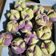 Cooksnap dari Yitnaning Riyanti untuk resep Bolu KukuS Mekar