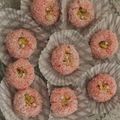 Sadaf Abdul Karim's cooksnap of when they made Chocolate coconut balls.