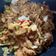 Cooksnap dari Putri Marhaeni untuk resep Kwetiau goreng ala resto,praktis gak ribet