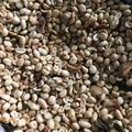 Cooksnap dari Fitriyah Taufik untuk resep Kacang Bawang Renyah