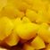El cooksnap de Lolita cuando hizo Patatas hervidas perfectas.