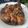 Cooksnap dari Debi Diana untuk resep Bistik Ayam Khas Cirebon (Mirip Semur)