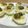 Yusuf's cooksnap of when they made Flora's Simple Deviled Eggs.