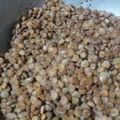 El cooksnap de Graciela Zurdo cuando hizo Hamburguesas de Lentejas.
