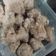 Cooksnap dari Wahyuni Afika untuk resep Bakso Sapi