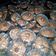 Cooksnap dari Nurjannah Jauhari untuk resep Brownies kering mini