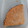El cooksnap de Mr. Mambo Mix cuando hizo Deliciosa tarta de limón SIN GLUTEN, SIN LACTOSA y SIN HORNO (Fácil, rápida y Súper ECONÓMICA).