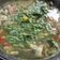 Cooksnap dari Erdeer untuk resep PINDANG PATIN khas Palembang
