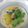 รูป Cooksnap ของ Thanita Ao เมื่อเขาทำ สาคูบัวลอยมะพร้าวอ่อน