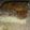 El cooksnap de Eliza cuando hizo Torta de manzanas libanesa.